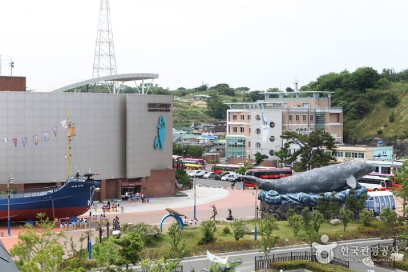 Jangsaengpo Whale Life Experience Museum  (1/9)