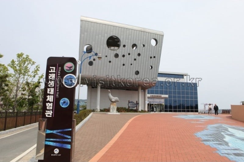 Jangsaengpo Whale Life Experience Museum  (2/9)