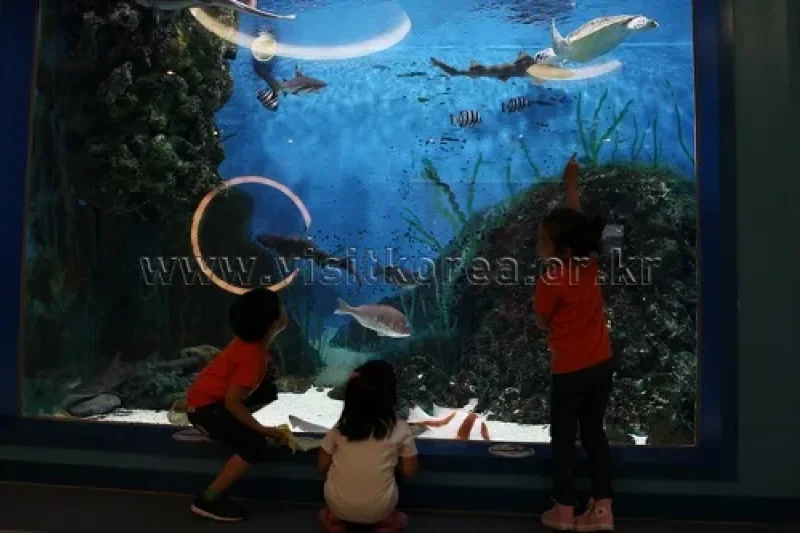 Jangsaengpo Whale Life Experience Museum  (4/9)