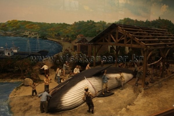 Jangsaengpo Whale Life Experience Museum