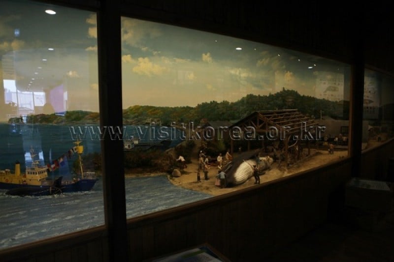 Jangsaengpo Whale Life Experience Museum  (7/9)