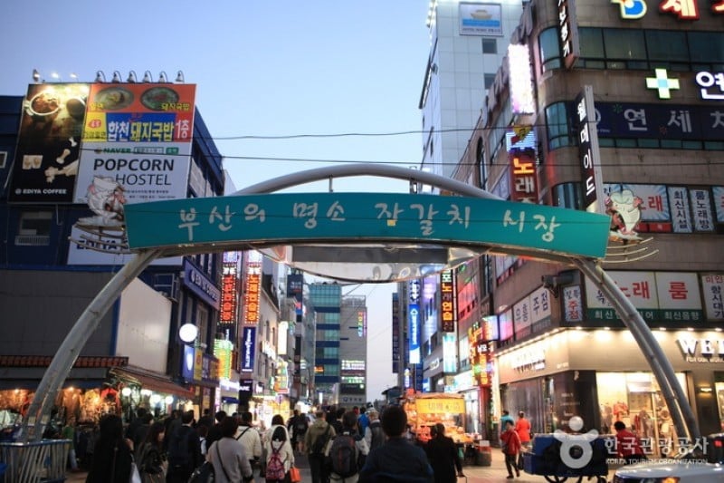 Jagalchi Market (부산 자갈치시장) (14/17)