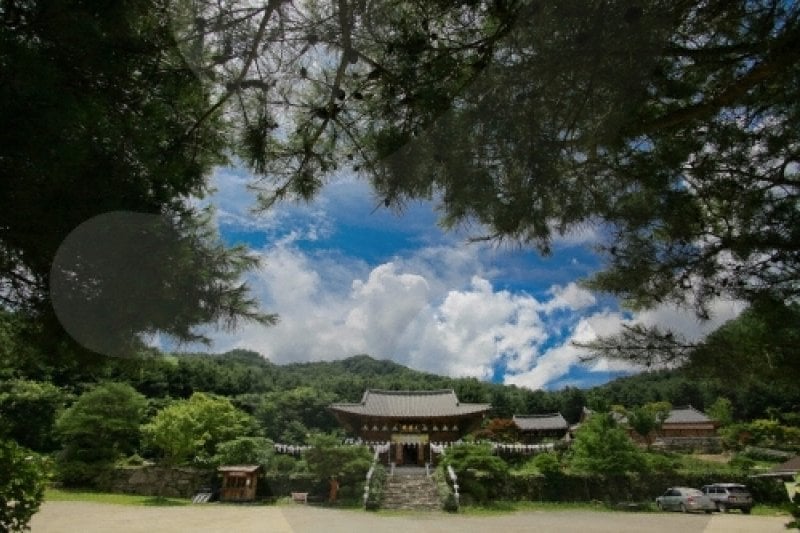 Baengnyeonsa Temple (Gapyeong) (백련사(가평)) (1/15)