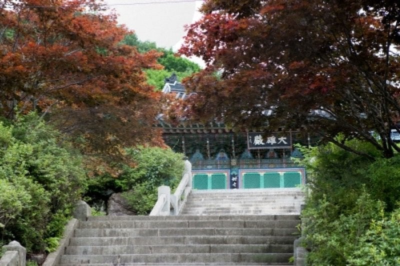 Baengnyeonsa Temple (Gapyeong) (백련사(가평)) (5/15)