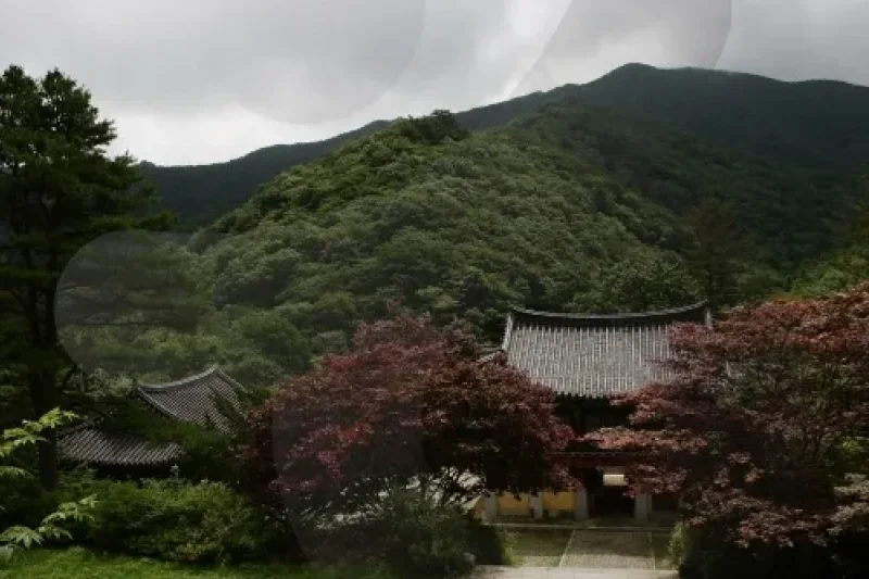 Baengnyeonsa Temple (Gapyeong) (백련사(가평)) (6/15)