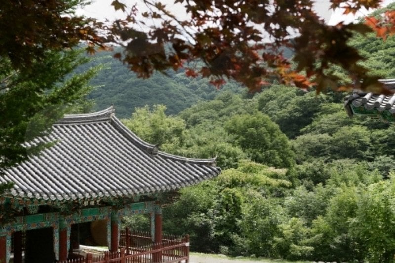 Baengnyeonsa Temple (Gapyeong) (백련사(가평)) (7/15)
