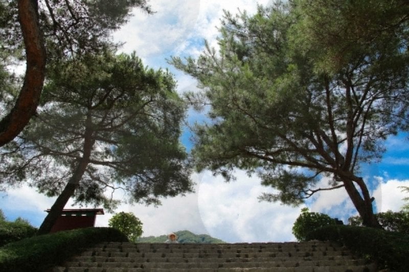 Baengnyeonsa Temple (Gapyeong) (백련사(가평)) (9/15)