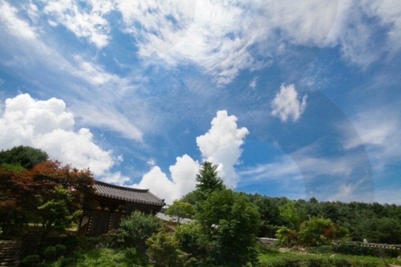 Baengnyeonsa Temple (Gapyeong) (백련사(가평)) (10/15)
