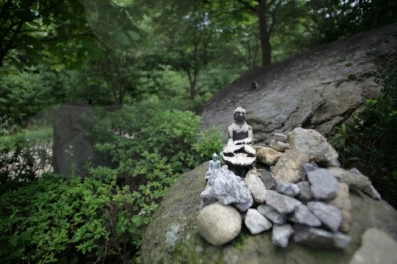 Baengnyeonsa Temple (Gapyeong) (백련사(가평)) (14/15)