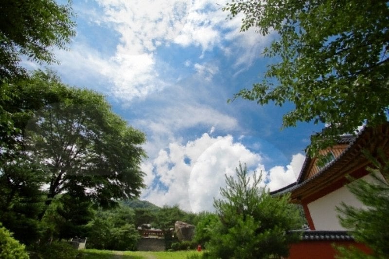 Baengnyeonsa Temple (Gapyeong) (백련사(가평)) (15/15)