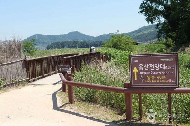 Suncheonman Bay Yongsan Observatory  (8/9)