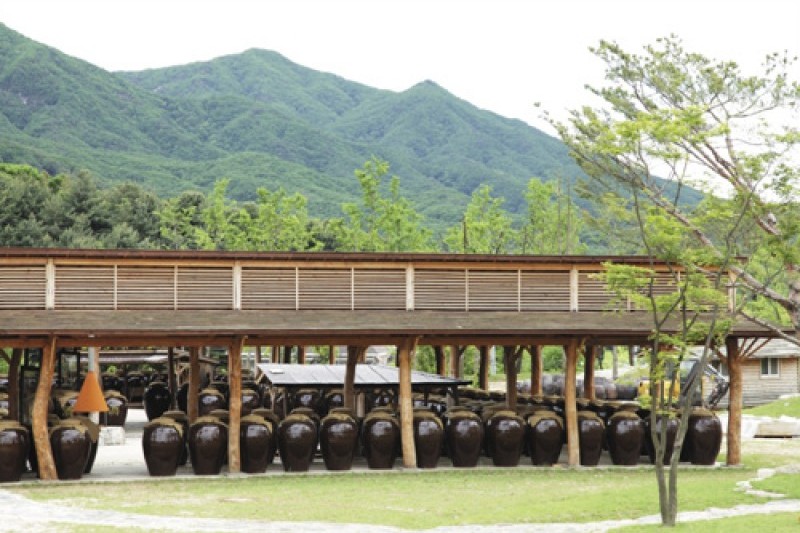 Traditional Liquor Museum Sansawon  (13/20)