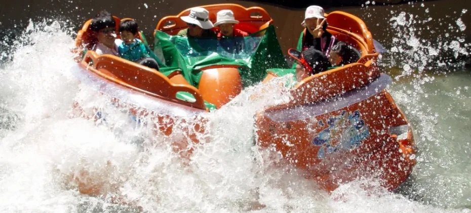 Everland Daily Pass Discount Ticket (31/51)
