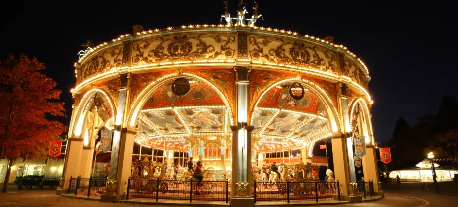 Everland Daily Pass Discount Ticket (33/51)