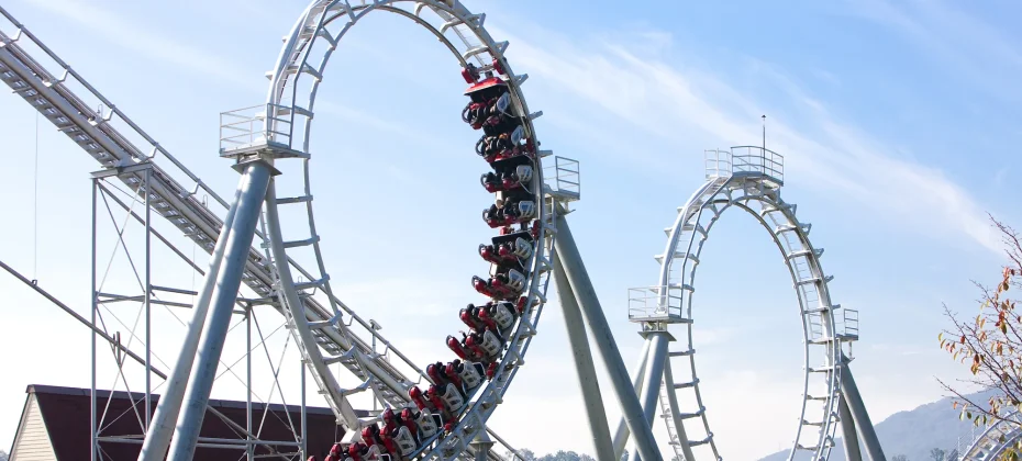Everland Daily Pass Discount Ticket (36/51)