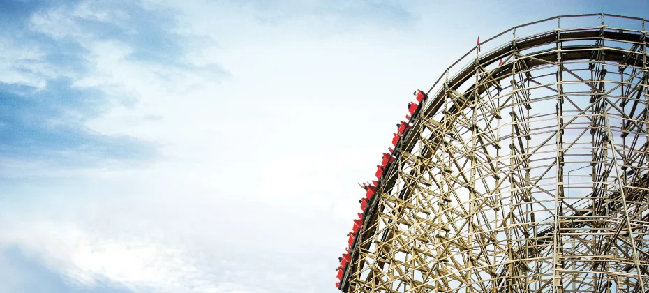 Everland Daily Pass Discount Ticket (37/51)