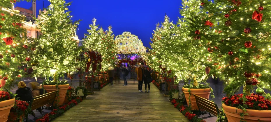 Everland Daily Pass Discount Ticket (40/51)