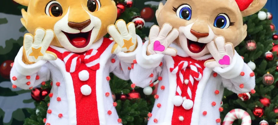 Everland Daily Pass Discount Ticket (46/51)