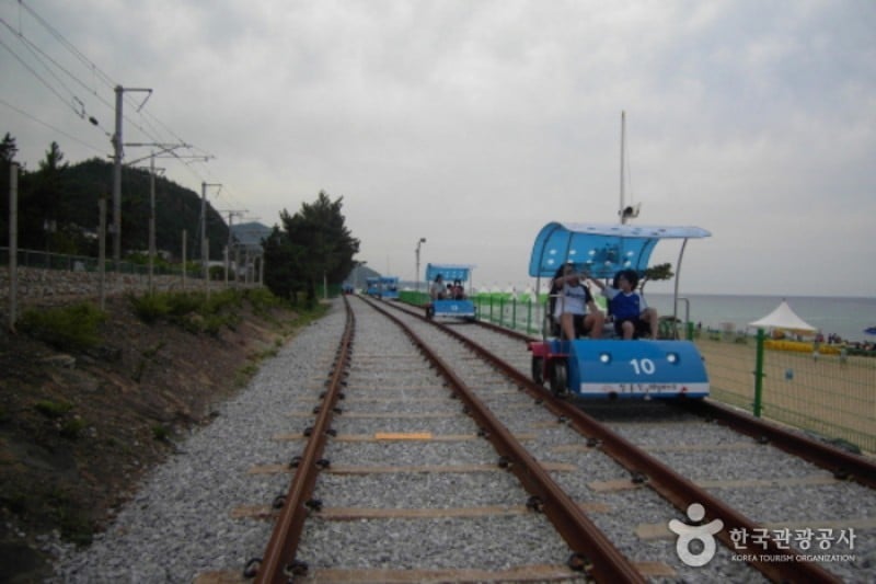 Jeongdongjin Rail Bike  (4/4)