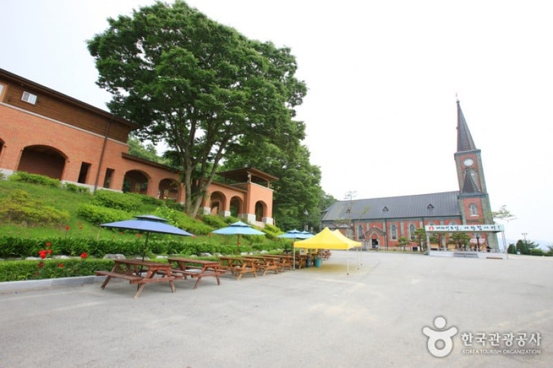 Gamgok Maegoe Virgin Mary Catholic Cathedral  (19/20)