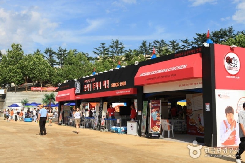 Daegu Chicken and Beer Festival  (2/18)