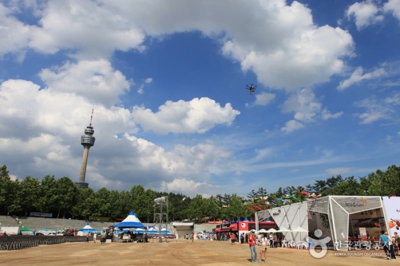 Daegu Chicken and Beer Festival  (4/18)