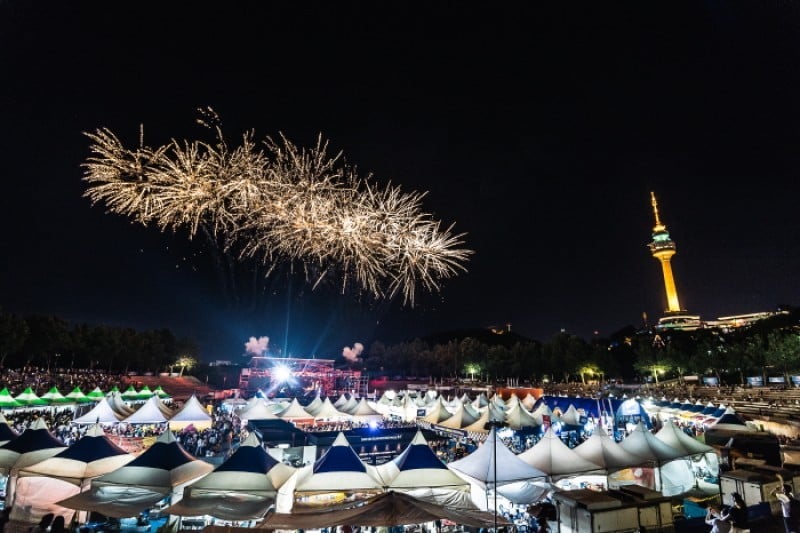 Daegu Chicken and Beer Festival  (17/18)