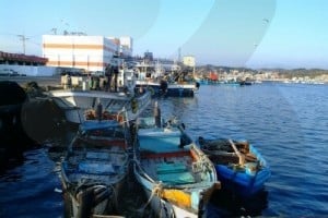 Jukbyeonhang Port 