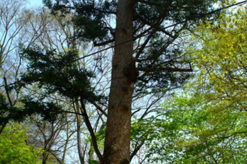 Manyeonsa Temple  (4/4)