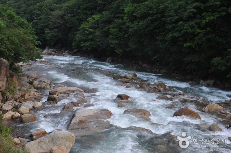 Baegunsan Donggok Valley (백운산 동곡계곡) (1/6)