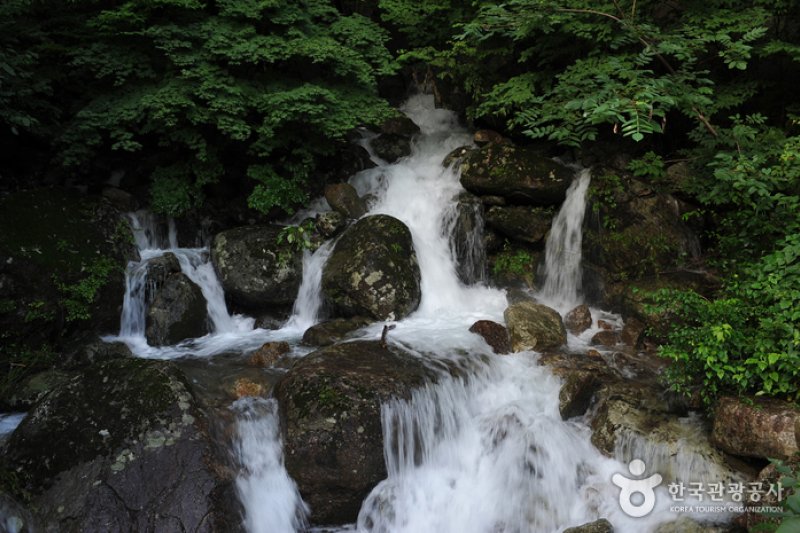 Baegunsan Donggok Valley (백운산 동곡계곡) (2/6)
