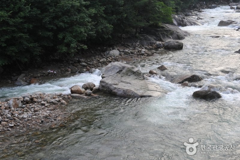 Baegunsan Donggok Valley (백운산 동곡계곡) (3/6)