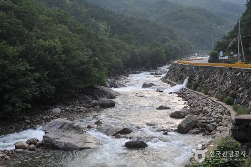 Baegunsan Donggok Valley (백운산 동곡계곡) (4/6)