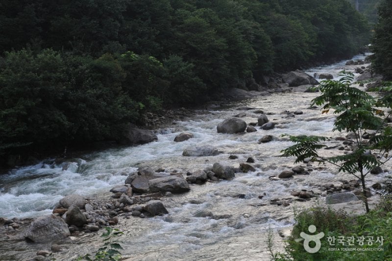 Baegunsan Donggok Valley (백운산 동곡계곡) (5/6)