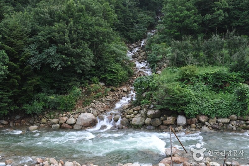 Baegunsan Donggok Valley (백운산 동곡계곡) (6/6)