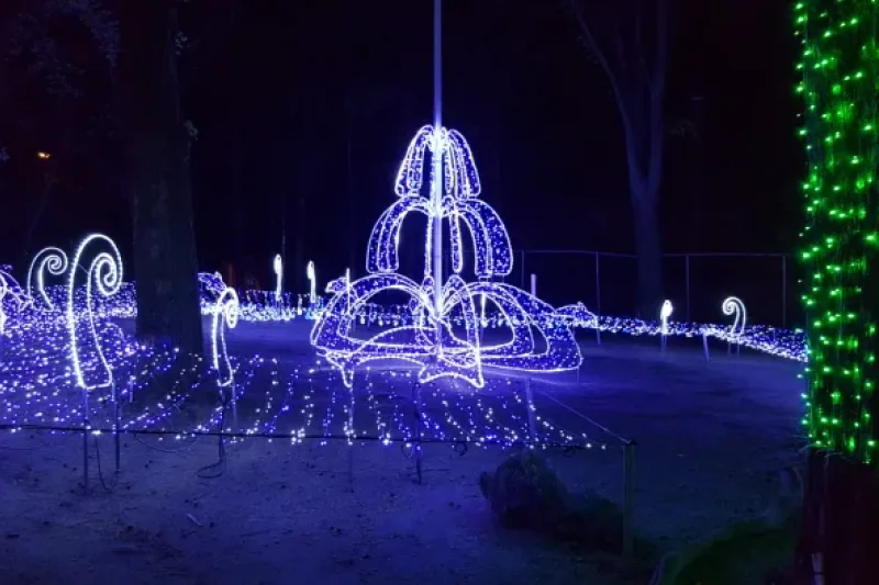 Chuncheon Lake Starlight Nation Festival  (2/6)