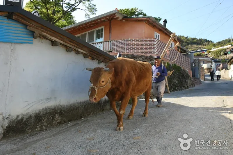 Namhae Gacheon Village (남해 가천마을) (8/25)