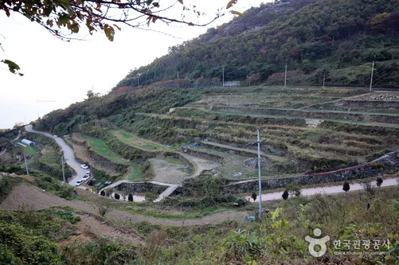 Namhae Gacheon Village (남해 가천마을) (23/25)