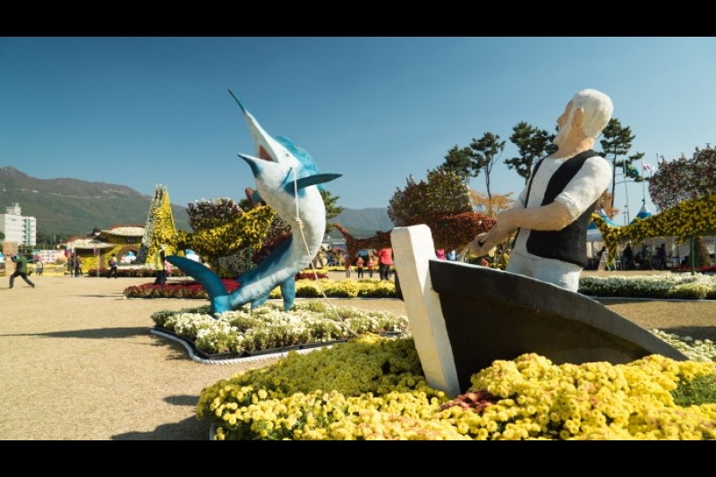 Geoje Island Flower Festival  (2/9)