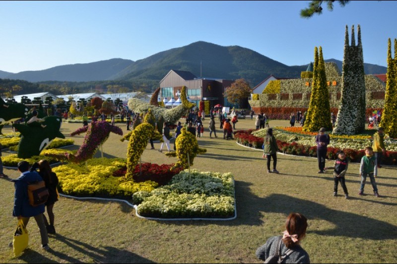 Geoje Island Flower Festival  (4/9)