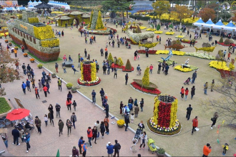 Geoje Island Flower Festival  (5/9)