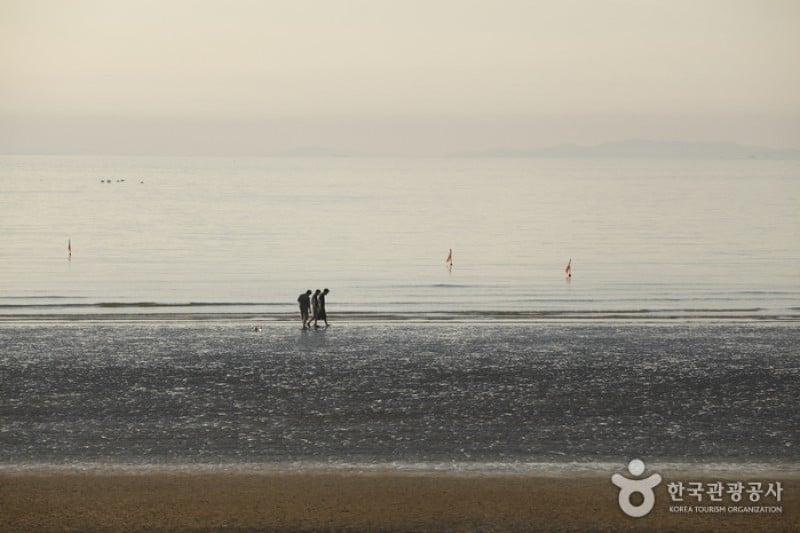 Chunjangdae Beach  (8/12)