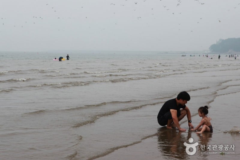 Chunjangdae Beach  (11/12)