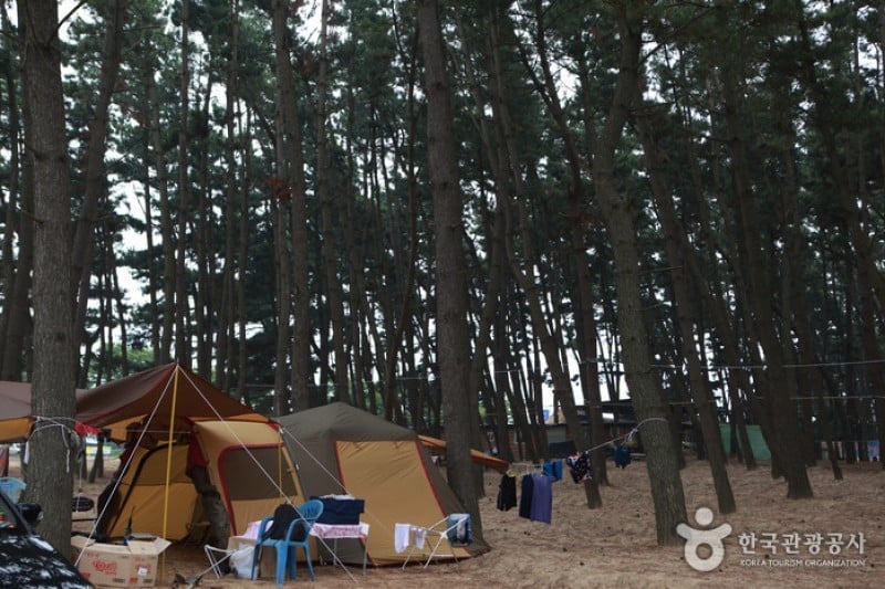 Chunjangdae Beach  (12/12)