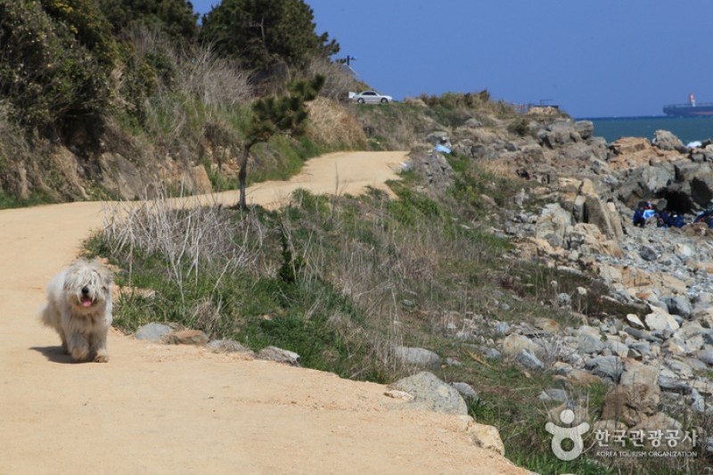 Seuldo Island  (30/72)