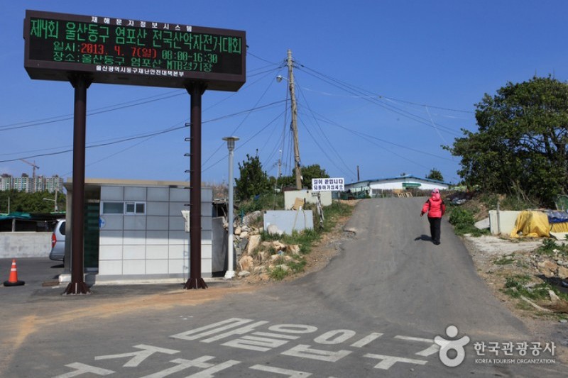 Seuldo Island  (32/72)