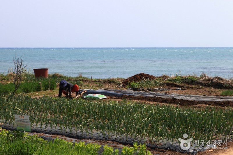 Seuldo Island  (44/72)