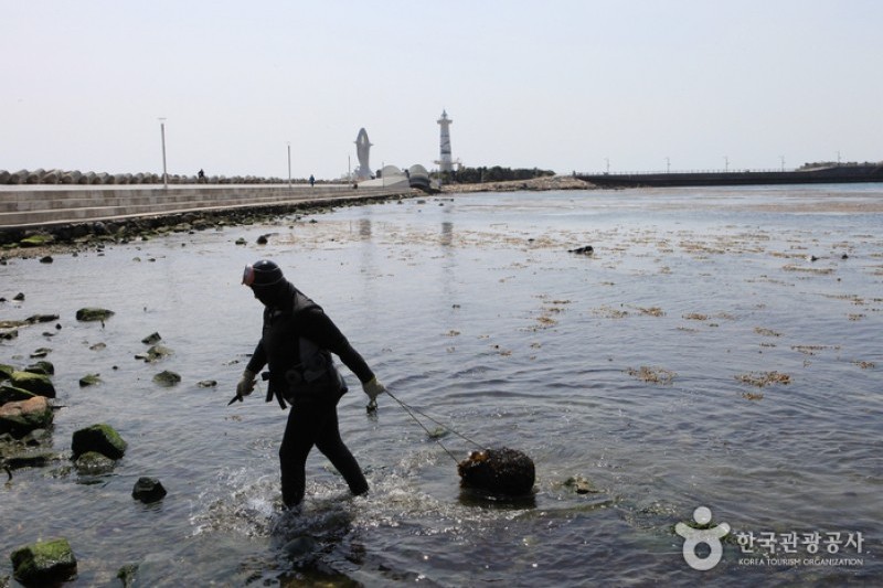 Seuldo Island  (62/72)