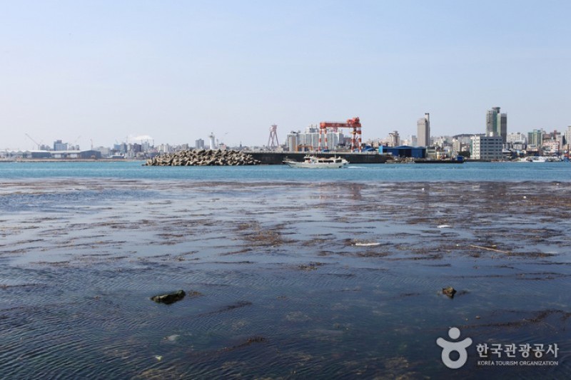 Seuldo Island  (64/72)