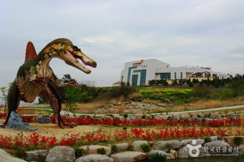 Haenam Uhangri Dinosaur Museum  (24/28)